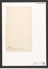 Nitzschia angularis var. rariana Grun. (de-Toni-Nr.: Genus 47, Species 2086) Zeichnungen Sammlung Grunow (NHMW-BOT-W0372022)